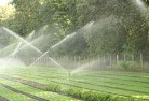 Chifley ACTlandscaping-water-management-and-drainage-17.jpg; ?>