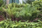 Chifley ACTtropical-landscaping-2.jpg; ?>